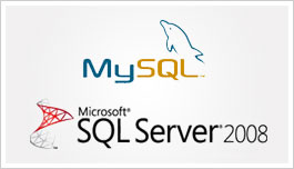 Database Server