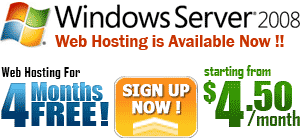 Windows Server 2008 web hosting